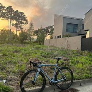 치넬리 레이져 미아 카본 로드 자전거