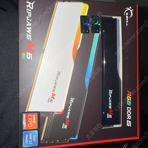 [G.SKILL] DDR5 PC5-41600 CL40 RIPJAWS M5 RGB 블랙 [64GB (32GB*2)] 팝니다