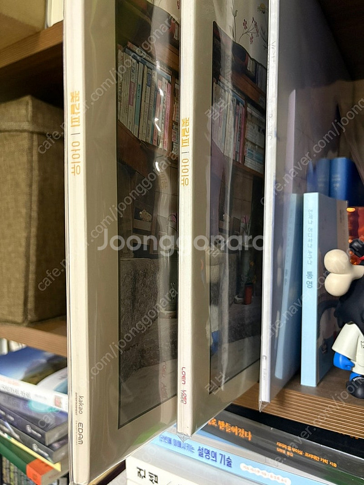 [LP] 윤하 4집 LP / 아이유 로엔 LP (전부 ...--1