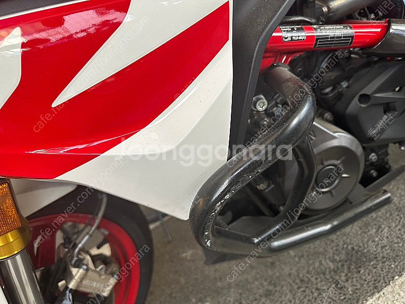 2024 BMW G310R--6