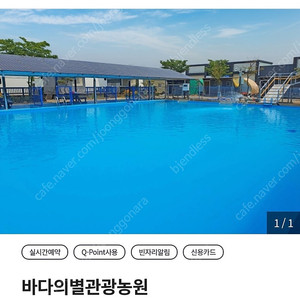 캠핑장 양도 판매 바다의별관광농원 5/31~6/2(3박)