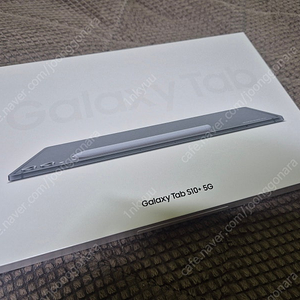 갤럭시탭 S10+ 5G 256G 문스톤그레이