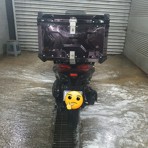 24년식 xmax300판매합니다