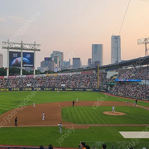 29일 한화 엘지 2연석 구합니다