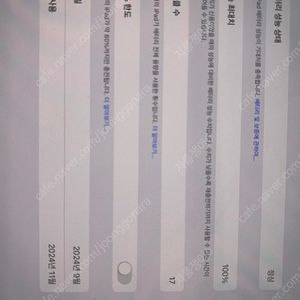 아이패드 프로 13인치 m4 256 와이파이 팝니다 (펜슬 포함)
