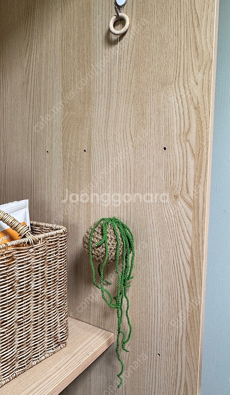 뜨개식물 행잉플랜트--0