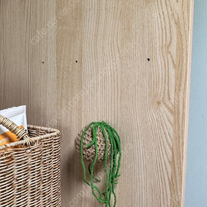 뜨개식물 행잉플랜트