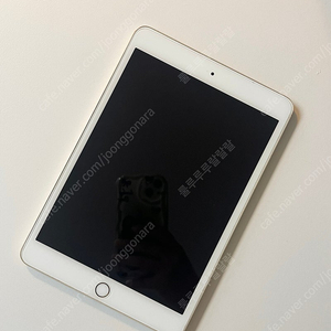 아이패드 미니3 64GB 골드