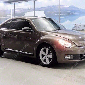 ★특가★ 860만원 2014년식 96,388Km 폭스바겐 더 비틀 2.0 TDI