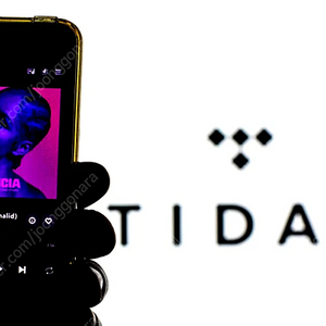타이달 tidal 플러스 패밀리 자리 남음