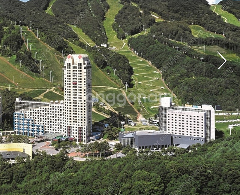 휘닉스파크 평창 조식 삽니다.--0