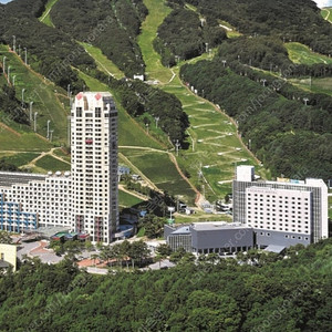 휘닉스파크 평창 조식 삽니다.