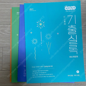 선재국어 기출실록 2023 해설통합형