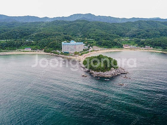 금강산콘도 6월7일~8일 1박양도--0