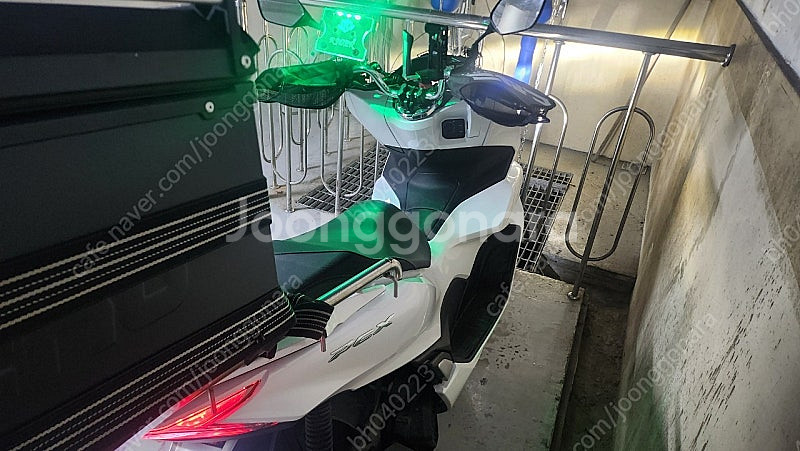 23년식 pcx 125cc 흰색 병적관리해서 께진곳없고...--5