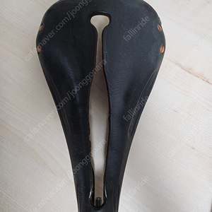 셀레 아나토미카 안장