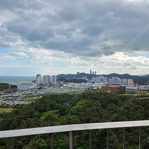 털푸과이님