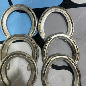 금전운 비방용 행운의 경주마 말편다