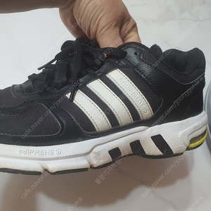 아디다스이큅먼트10 러닝화 운동화 240 택포