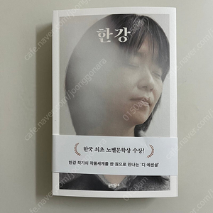 [소설책] 디에센셜 / 검은 사슴 / 작별하지 않는다 / A가 X에게 / 꿈으로 갈게 / 사례 연구 / 한없이 투명에 가까운 블루 / 이상한 그림 / mymy / 럭키 / 원경 외