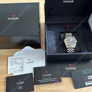 Tudor BLACK BAY ONE 39 S&G