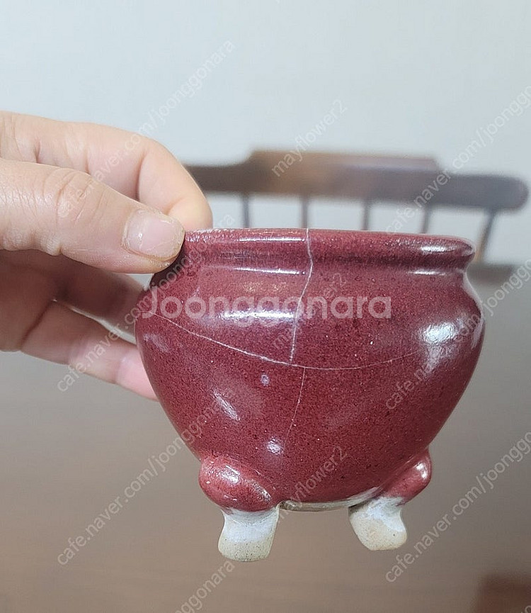 분재화분.다육화분.야생화분.천광분--0