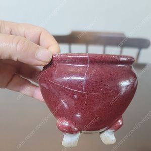 분재화분.다육화분.야생화분.천광분