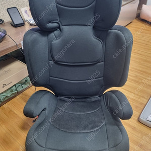 페도라 카시트