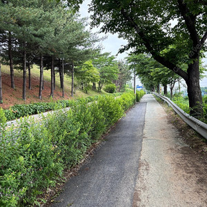스타벅스쿠폰
