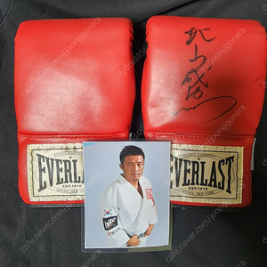 아조씨 "추성훈,효도르, UFC"친필 싸인 글러브 팝니다