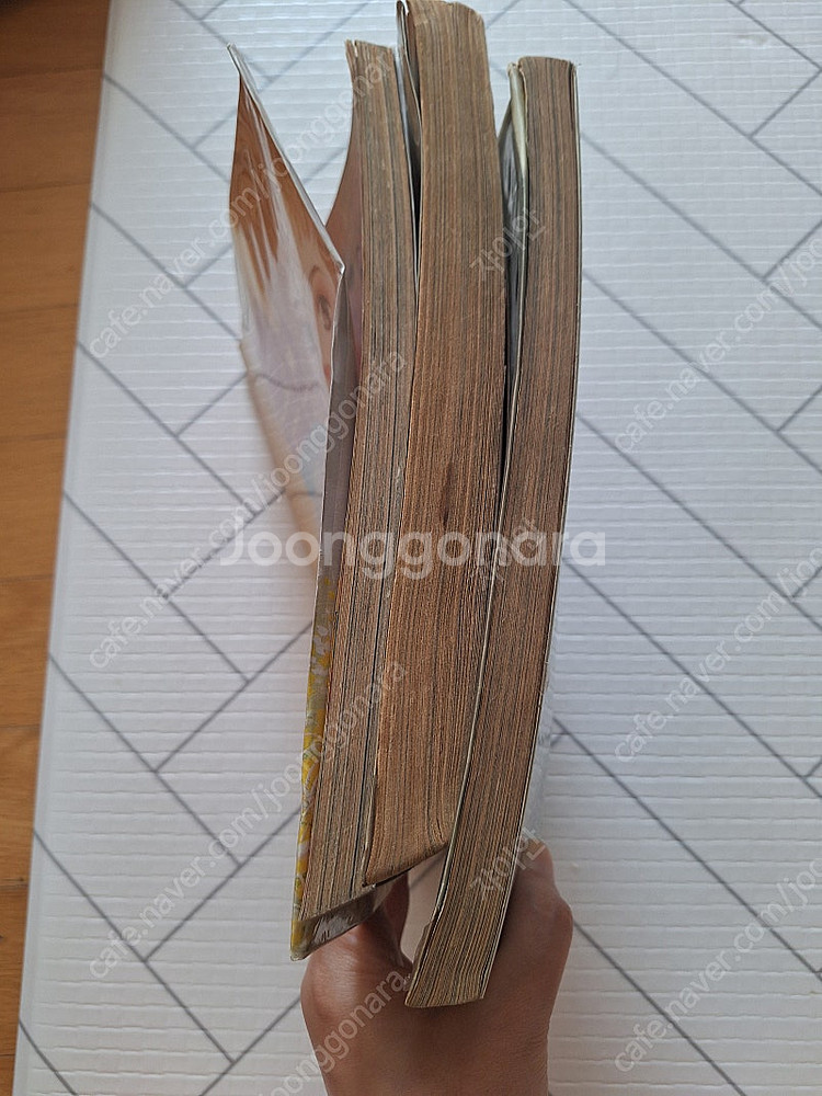 만화동인지 <아홉 번째 신화>, <뭐?>--0