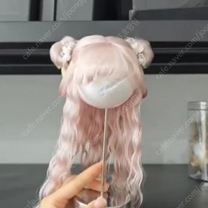 브라이스 가발 판매합니다
