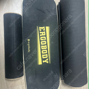 [운동용품] 에르고바디 밸렌스 + 매트