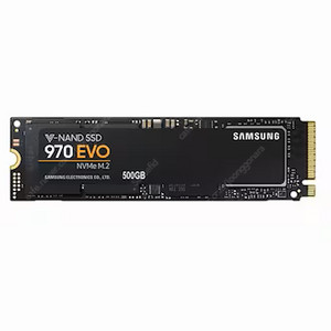 삼성전자 970 EVO M.2 NVMe (500GB)