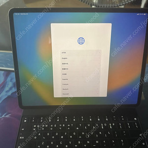 아이패드 프로 12.9 4세대 셀룰러 1테라