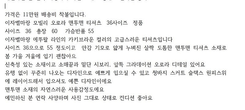 이자벨마랑 모비 맨투맨 블라우스 아떼 바네사브루노 핸드...--1