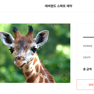 에버랜드 로스트밸리 사파리 스페셜투어