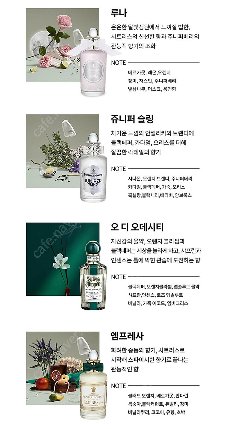 펜할리곤스 딩키 바이트 센트라이브러리 니치 향수 세트 크리스마스 한정판 이미지