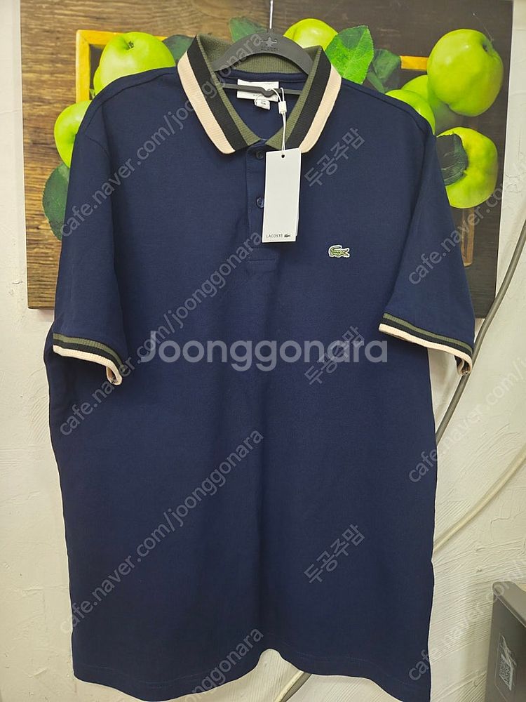 라코스테 티셔츠 새상품 105--0