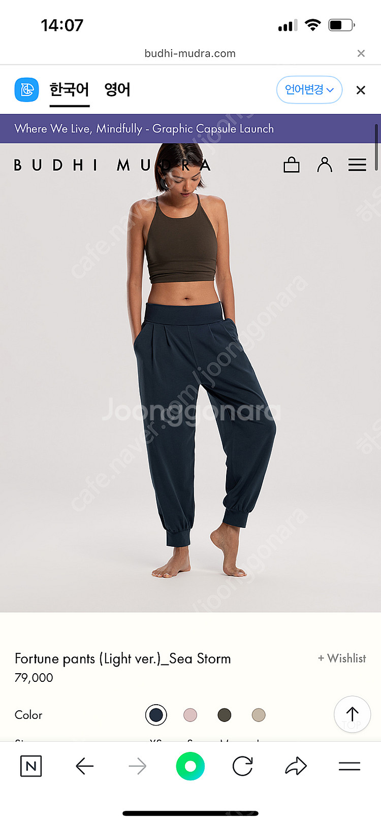 부디무드라 라지--0