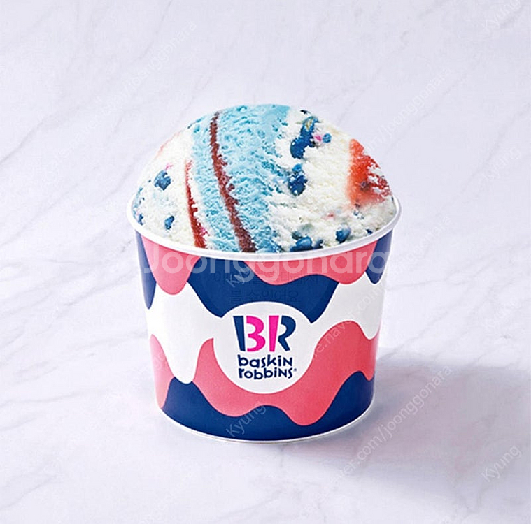 (칼답)배스킨라빈스 패밀리사이즈 아이스크림--0