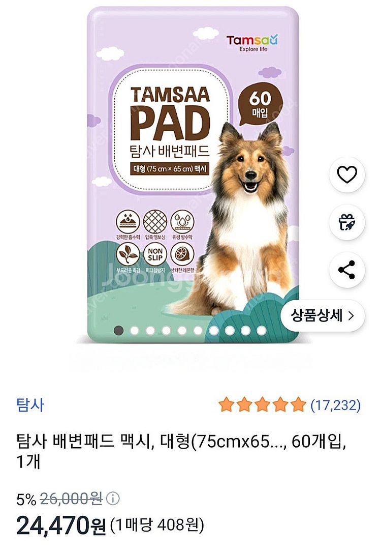 강아지 패트 대형--0