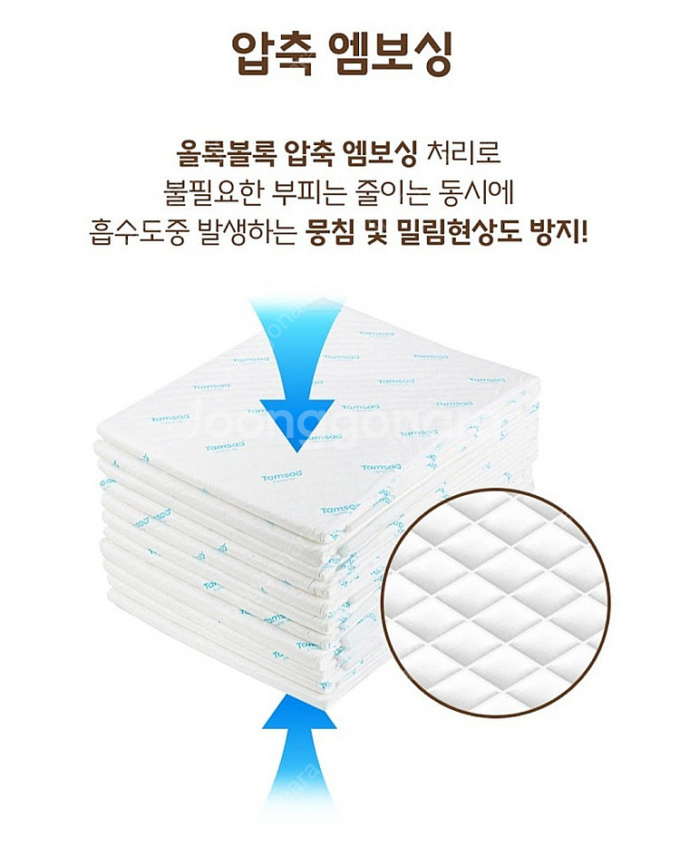강아지 패트 대형--3