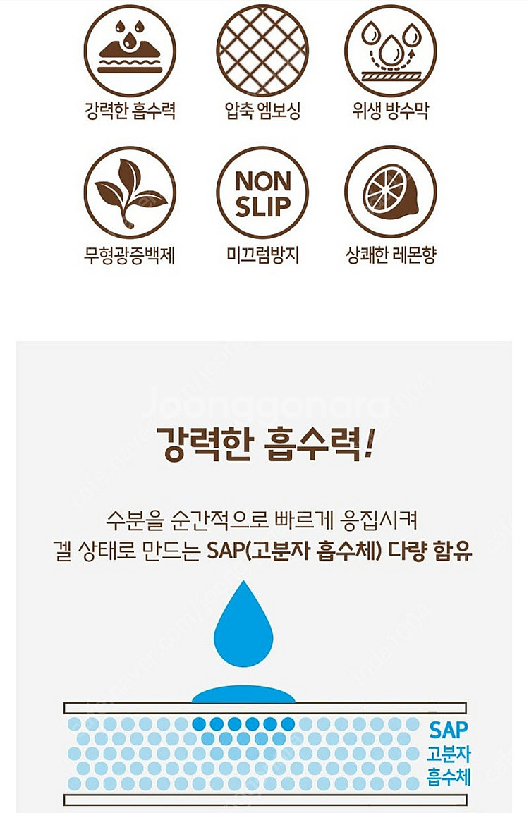 강아지 패트 대형--4