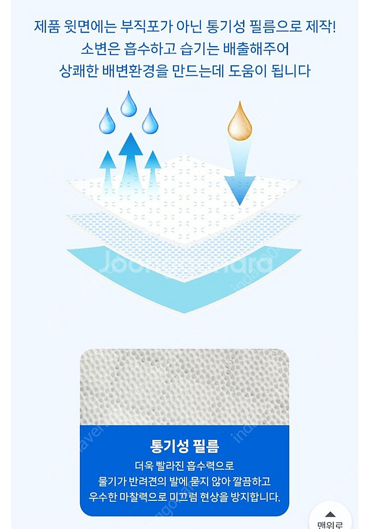 강아지 패트 대형--7