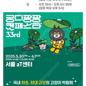 궁디팡팡 캣페스타 2장