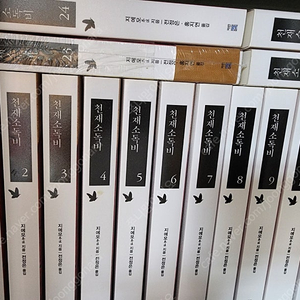 소설책 로판 천재소독비 판매합니다.