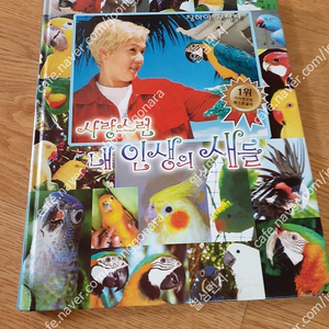 사랑스런 인생의새들 필요하신 편하게 보세요 3000원 직거래 가능해요