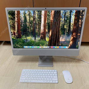 아이맥 M4 24GB 1TB 애케플 실버색상 팝니다~~~