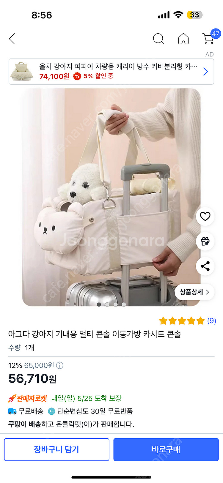 강아지 카시트 겸 이동가방--5